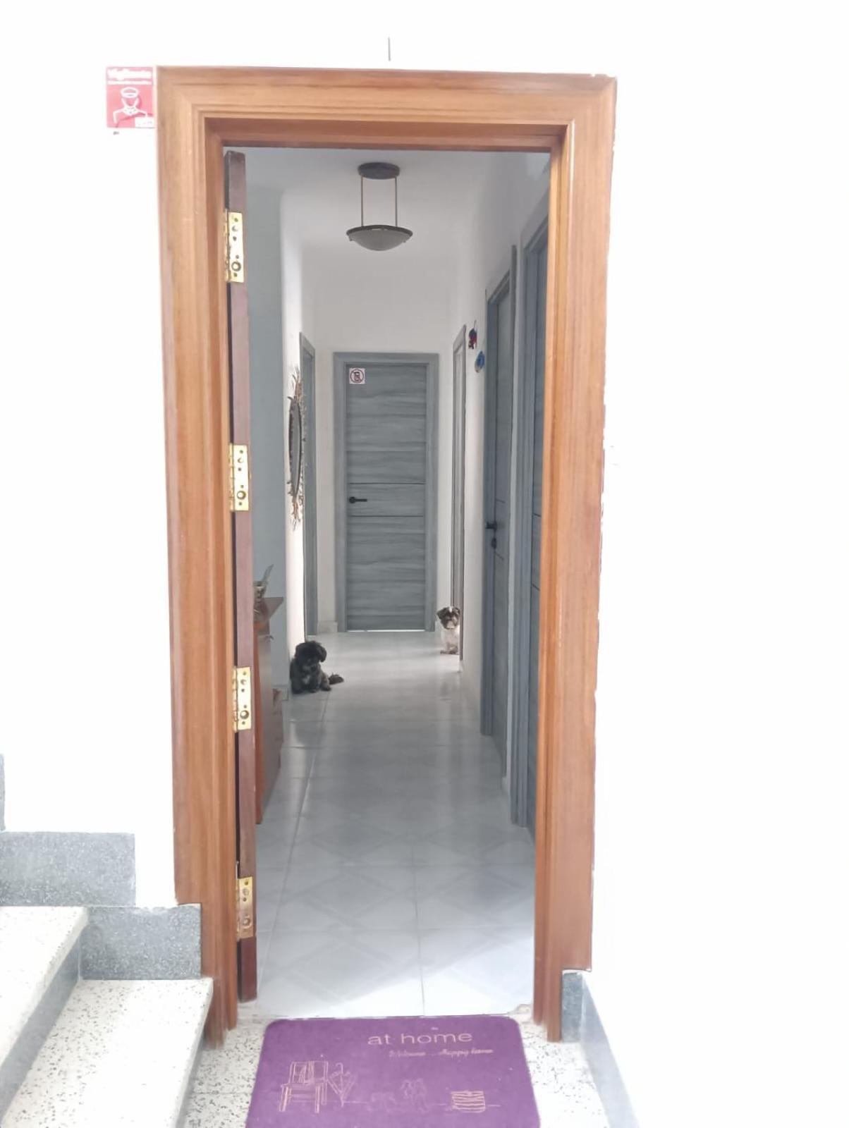 Alicante Habitacion Oasis Екстериор снимка